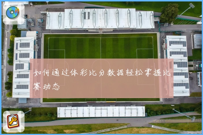 如何通过体彩比分数据轻松掌握比赛动态