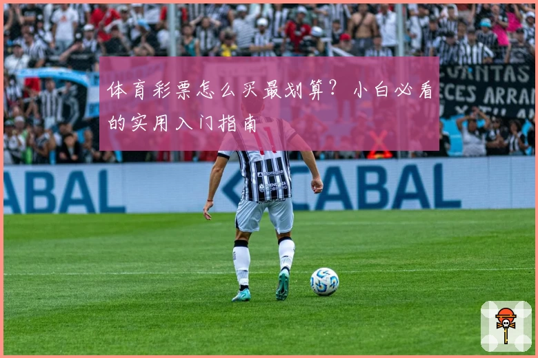 体育彩票怎么买最划算?小白必看的实用入门指南