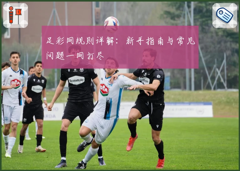 足彩网规则详解：新手指南与常见问题一网打尽