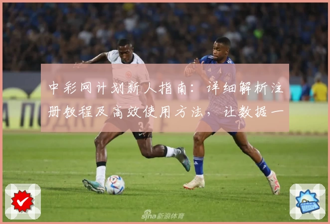 中彩网计划新人指南：详细解析注册教程及高效使用方法，让数据一目了然