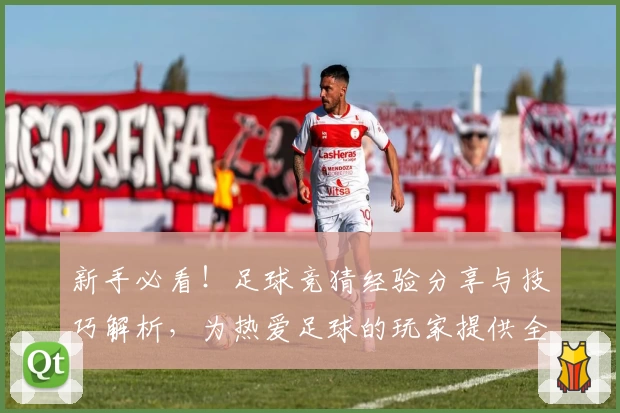 新手必看！足球竞猜经验分享与技巧解析，为热爱足球的玩家提供全面入门指南