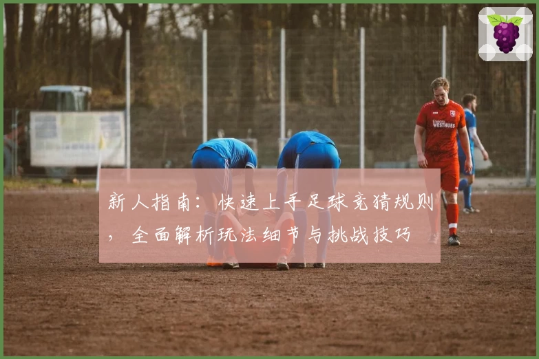 新人指南：快速上手足球竞猜规则，全面解析玩法细节与挑战技巧